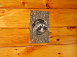 White River in Arkansas 106.jpg